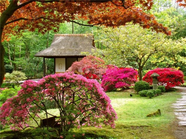 вдохновляющие картинки, сакура, sakura, япония, цветущая сакура, природа, весна